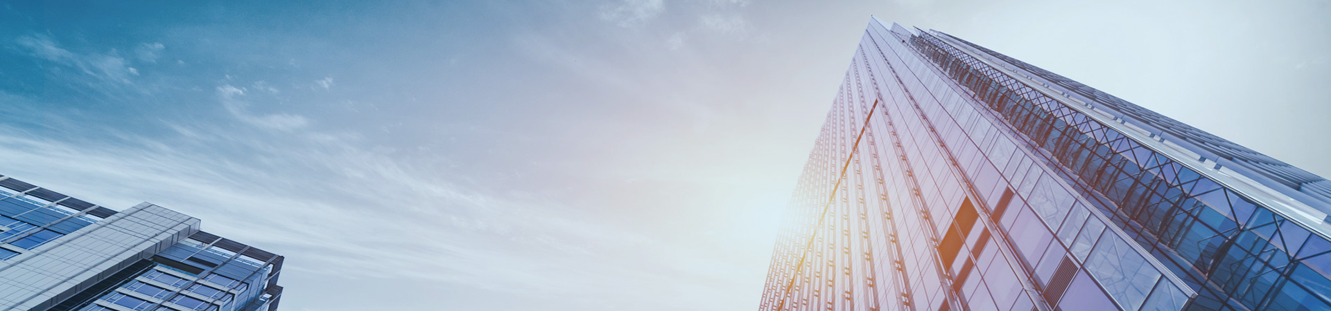 重慶柳猿信息技術(shù)有限公司